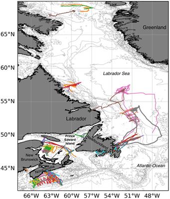 Best practices for operating underwater gliders in Atlantic Canada